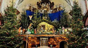 Galeria